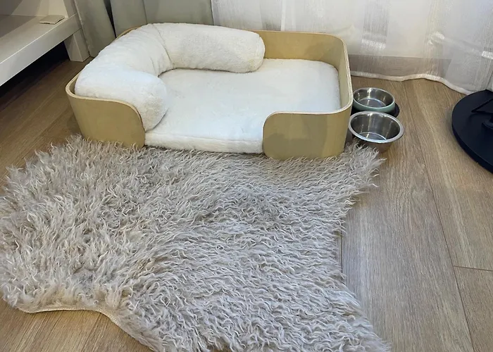 Angyalkert 巴拉顿扎佐